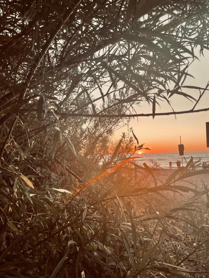 Baltico Domki Letniskowe Sarbinowo Buitenkant foto