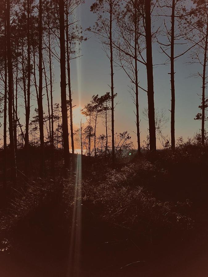 Baltico Domki Letniskowe Sarbinowo Buitenkant foto